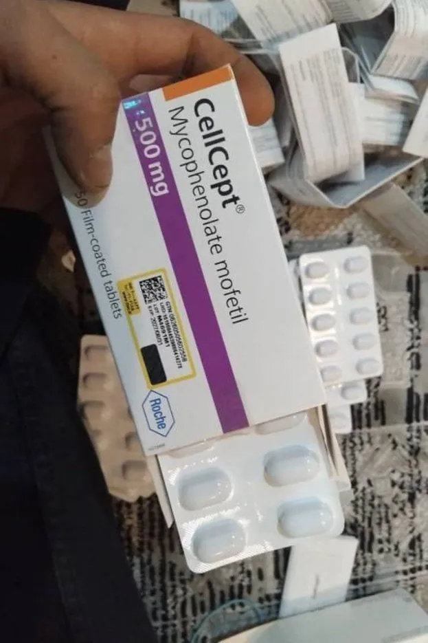 💊 سل سيبت 💊